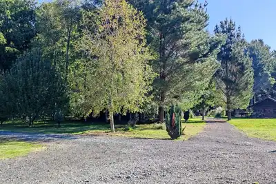 Image de Entre Hualles y Pellines