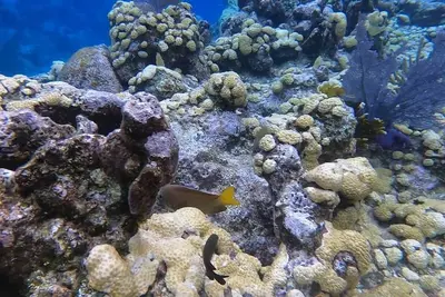 Image de Quatro Vista, Unit B2