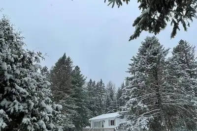 Image de Le p'tit Koya