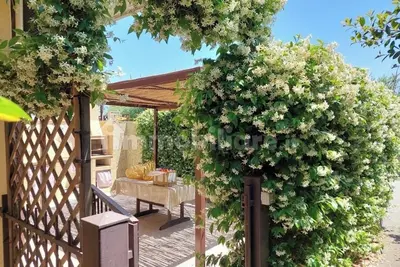 Image de The Star of the South - Holiday Home. Apartment at the foot of Etna