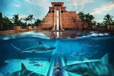 Image de One Premium Bedroom At Harborside Atlantis On Dec 21 to Dec28 Full Resort Access