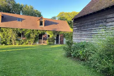 Image de ferme au milieu des chevaux