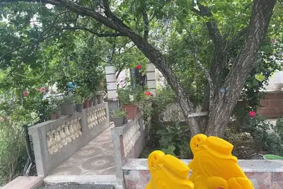 Image de Nice apartment in Constantine with Garden