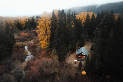 Image de Huckleberry House