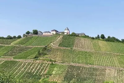 Image de Vue du château de Pünderich