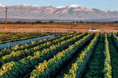 Image de Mot + Wine Country - 3 Bd Villa in Tupungato