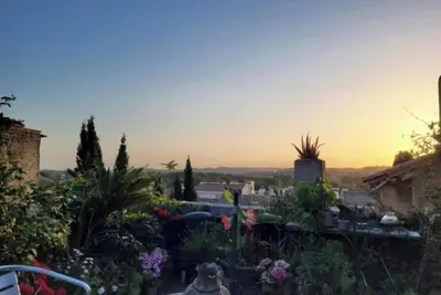 Image de Un nid sur les toits face au palais des papes