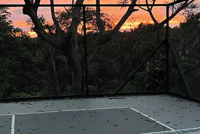 Image de Pickleball Jungle Monkey
