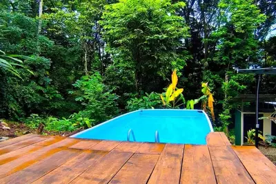 Monstera Forest Lodge #3