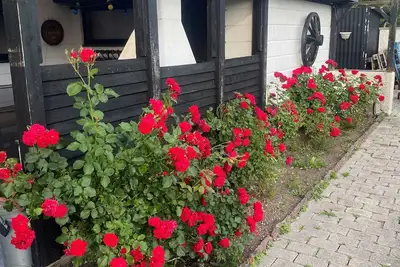 Image de Cozy Summer House with Fjord View