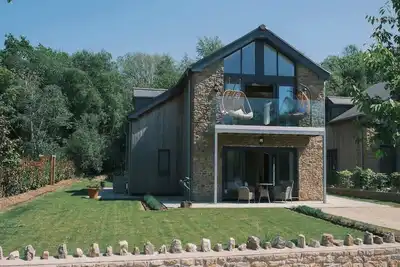 Image de The Frogs - Cookswood