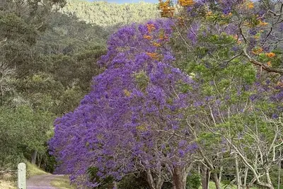Image de Kalimna Homestead, Historic Stays, Hunter Valley