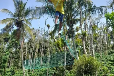 Image de Waterfall Whispers & Coffee Aromas – A Cozy Family Retreat