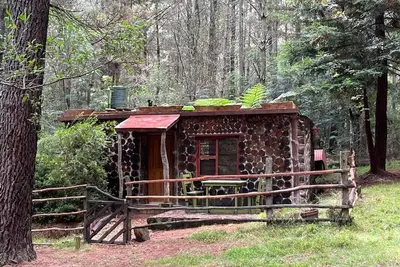 Image de Charming 1-bedroom forest cottage in tranquil Hogsback getaway