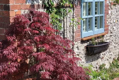 Image de escape the ordinary dorset holiday home
