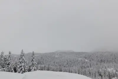 Drive Up Condo - Walk to Mount Washington