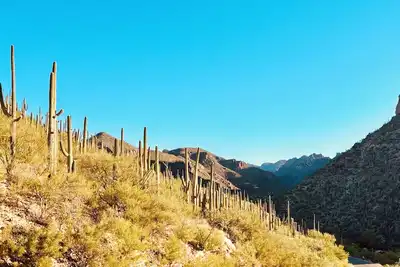 Image de Walk to Sabino Canyon Trails, 4Bd Home with Hot Tub