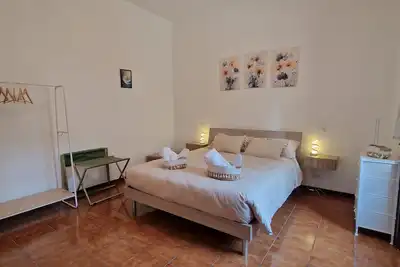 Daisy, Flower Lodge, Como