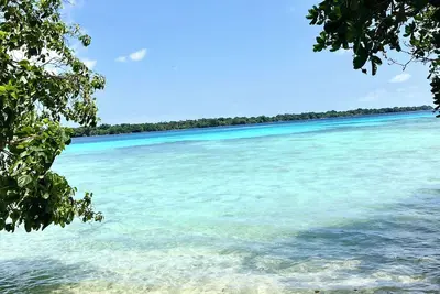 Image de Aore Island Beach Tree House, 10mins to Santo island. Studio sleeps 5