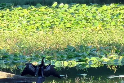 Image de Quiet Lakefront Retreat near Downtown with Private Patio