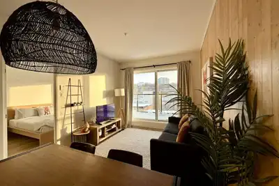 Les renards au centre ville