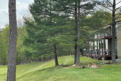 Image de 2-bedroom Villa in Superb Massanutten with Cool Mountain Vibes