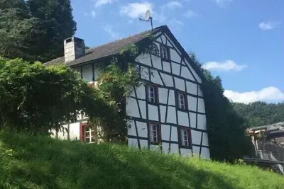 Image de Noah - vie marine temporaire