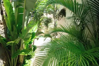 Villa Vanille, Indigo Bay oceanview pool