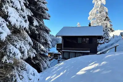 Image de Le Valtin - Chalet familial au milieu des sapins