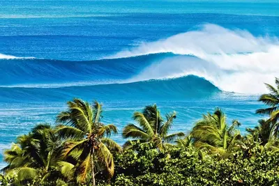 Image de Cozy countryside “Casita” in charming Rincón