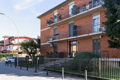 Image de Orange Blossom