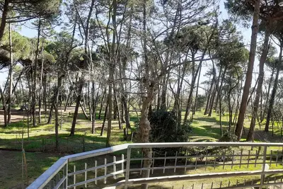 Image de I Velieri Appartamenti