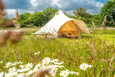 Image de Poppy at Blanca's Bell Tents, , Hunstanton, Norfolk