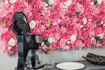 Image de The Bird's Nest