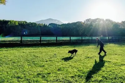 Image de Dog Run Cottage Woof Dog Fee Included Plan Winte / Agatsuma County Gunma