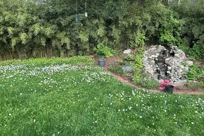 Image de Cozy 4br home near SeaTac airport, parks, beaches & bike path