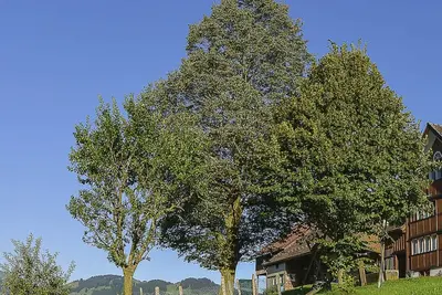 Image de Ferien Alpsteinblick by Interhome