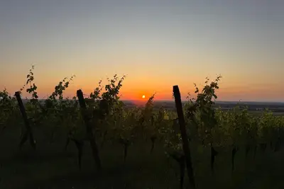 Image de Panorama 180° by Interhome