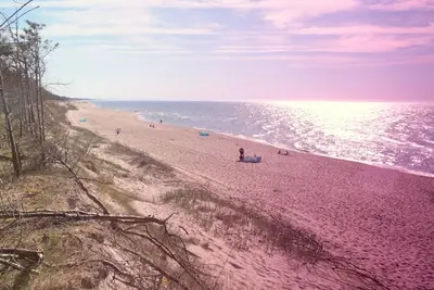 Image de \"Paradise Star Bobolin\" by Interhome