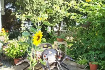 Image de Appartement in Schelingen mit Garten und Grill by Interhome