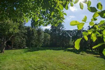 Image de Gemütliches Ferienhaus in Hasenfeld mit Großem Garten by Interhome