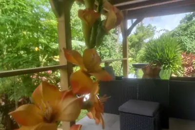 Image de Éden Home Accès Rivière