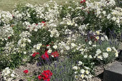 Image de Feriendorf E44 by Interhome