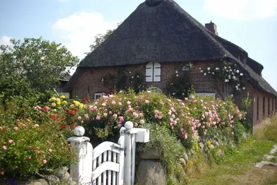 Image de Apartment im Friesenhaus Dikhü by Interhome