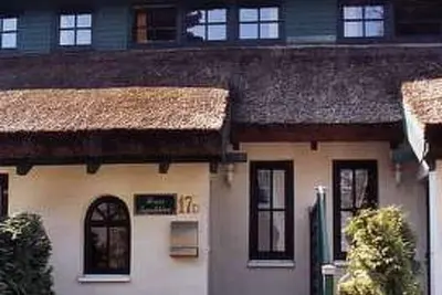 Sanddorn 17d by Interhome