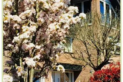 Image de Top vacation apartment Raesfeld, close to the castle, central