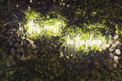 Image de Beautiful 2 Bd | Dt | Deep Ellum | LowerGreenville