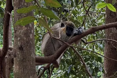 Image de Fully Furnished Open Concept Studio Apartment in pleasant St. George