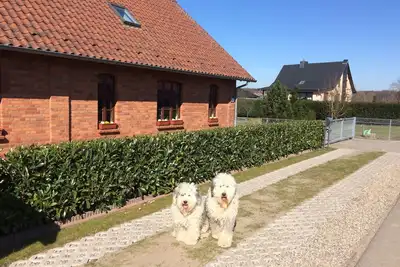 Image de Gemütliches Ferienhaus in Godow mit Terrasse by Interhome