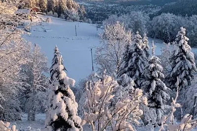 Image de Chalet a Gérardmer avec vu a couper le souffle 13 personnes